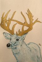 White Stag with golden antlers